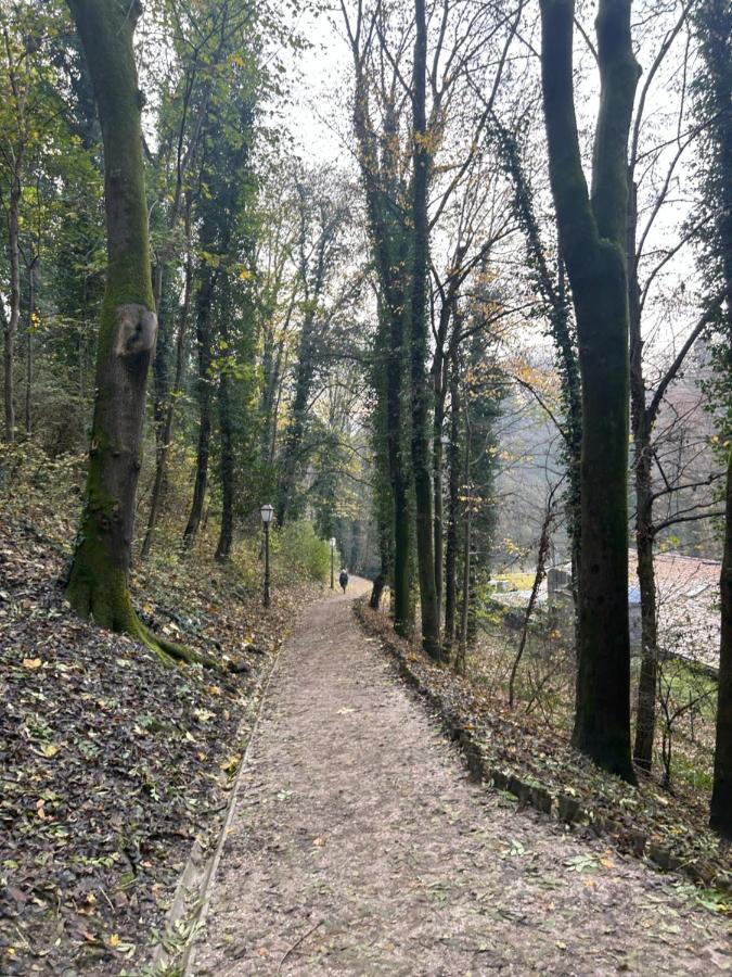 Historic Center-Lovely Nature Zagreb Buitenkant foto